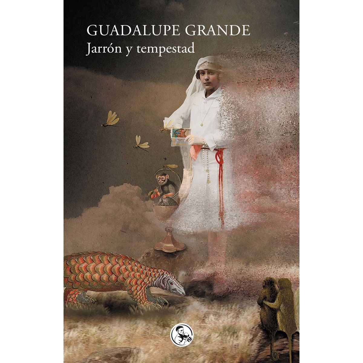 Jarrón y tempestad (Capa mole com abas) 1