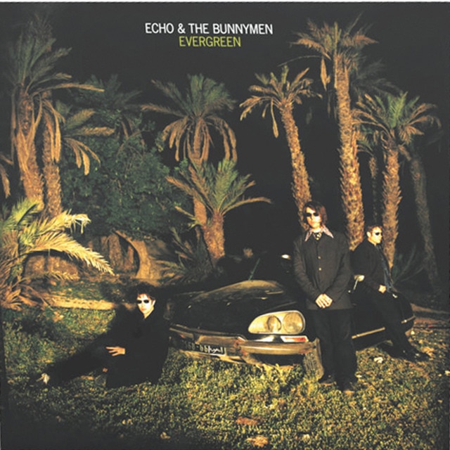 Imagen 0 de Evergreen -25 anniversary edition color (LP-Vinilo)