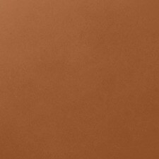 061 - Golden Cappuccino