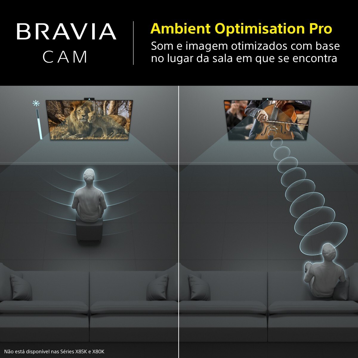 Câmara para TV Sony BRAVIA CAM CMU-BC1 · SONY · El Corte Inglés