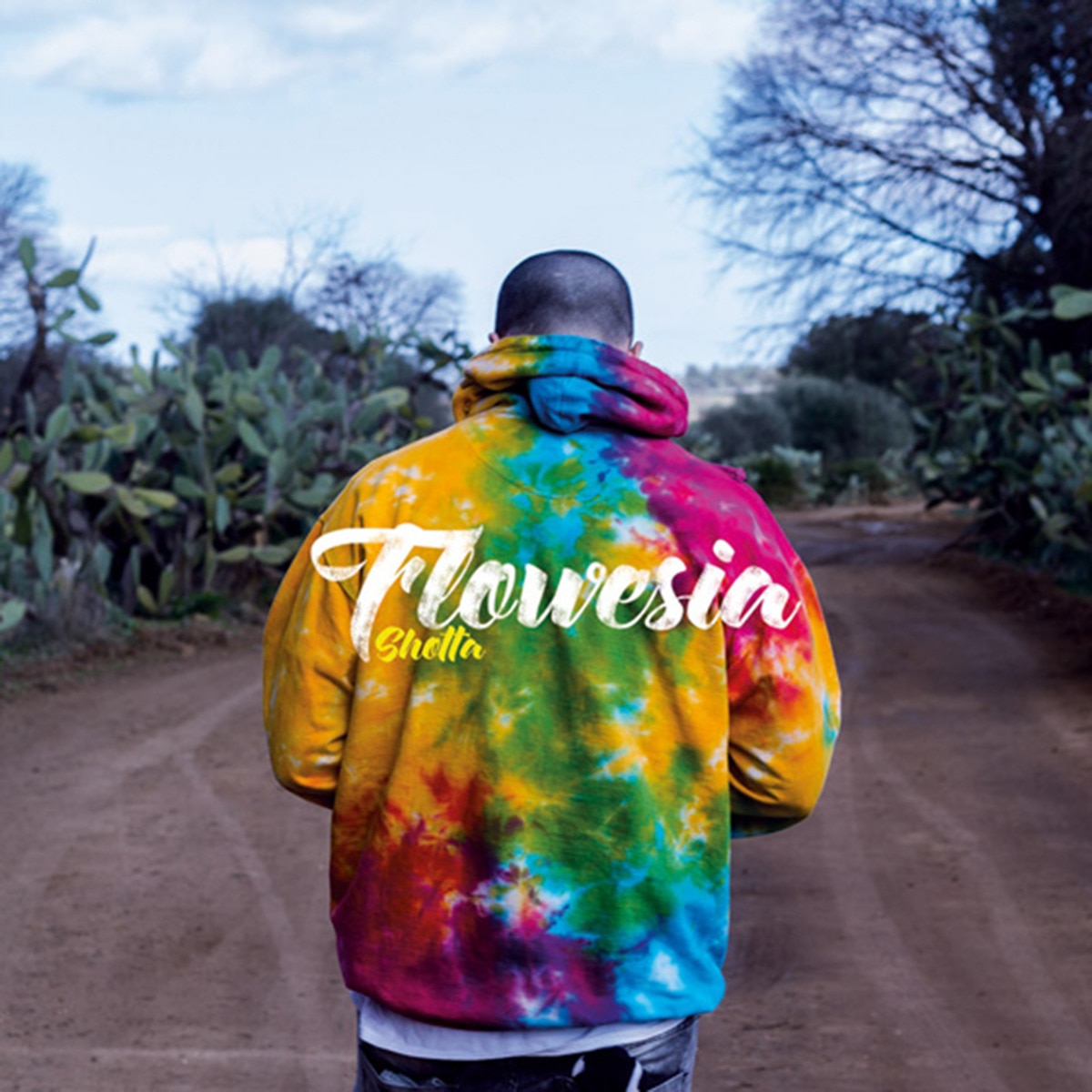Flowesía (2 LP-Vinilo) 1