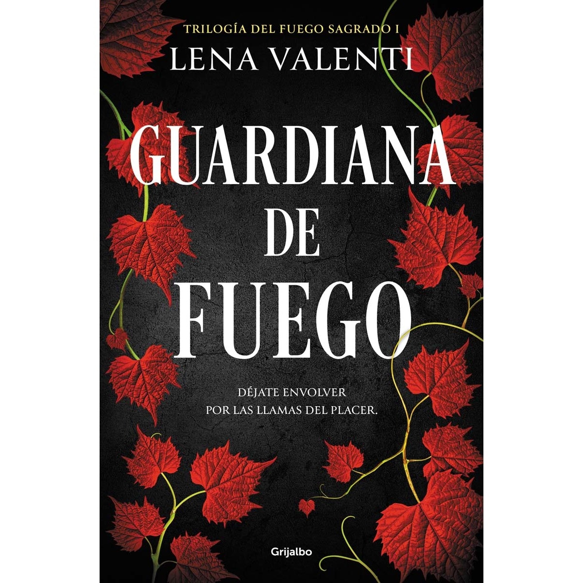 Guardiana de fuego (Trilogía del Fuego Sagrado 1) (Tapa blanda) 1