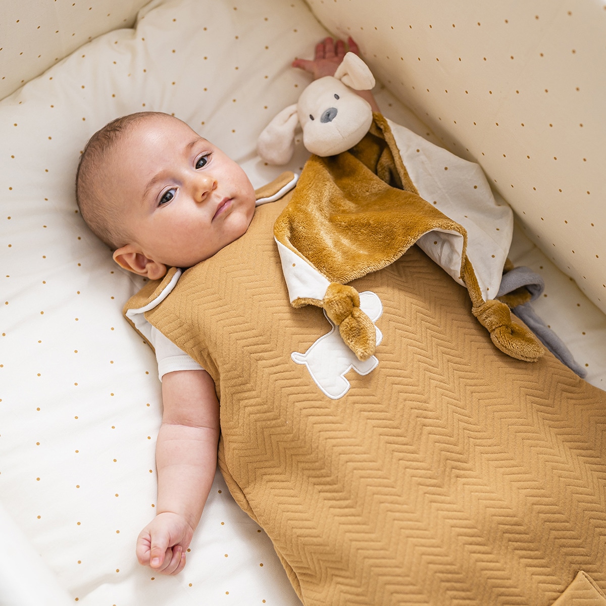 Dou dou maxi velour perrito Charlie Nattou caramelo · Nattou · El Corte ...