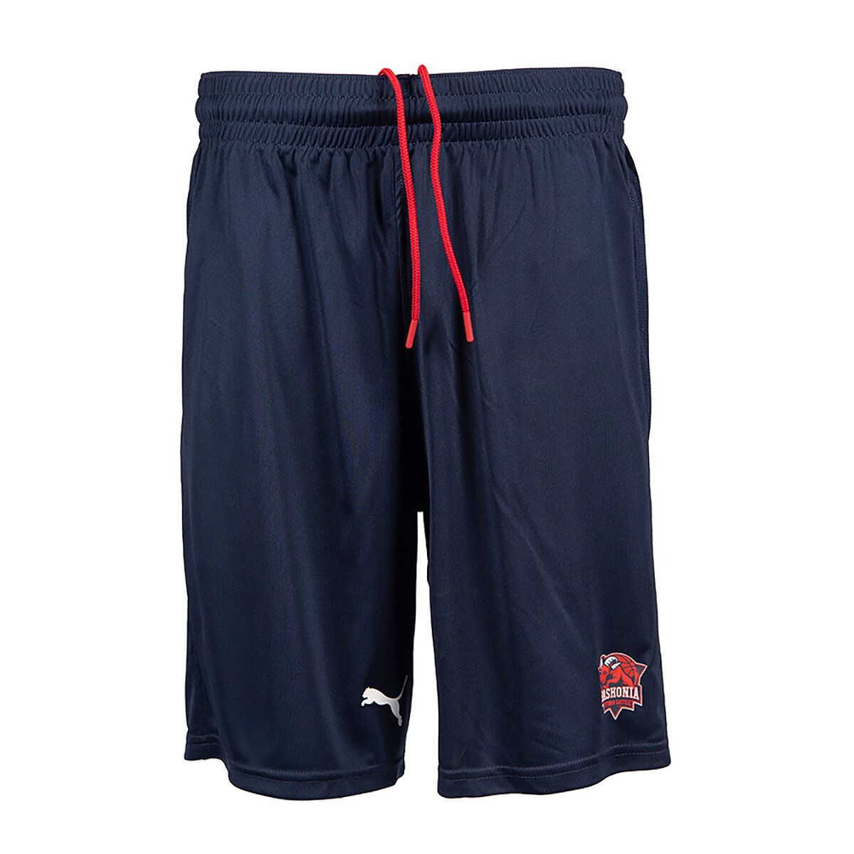 Short Domicile Baskonia 20222023 Puma