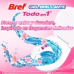 desinfectante WC colgador gel brillante Todo en 1 Frescor de Primavera blister 2 unidades