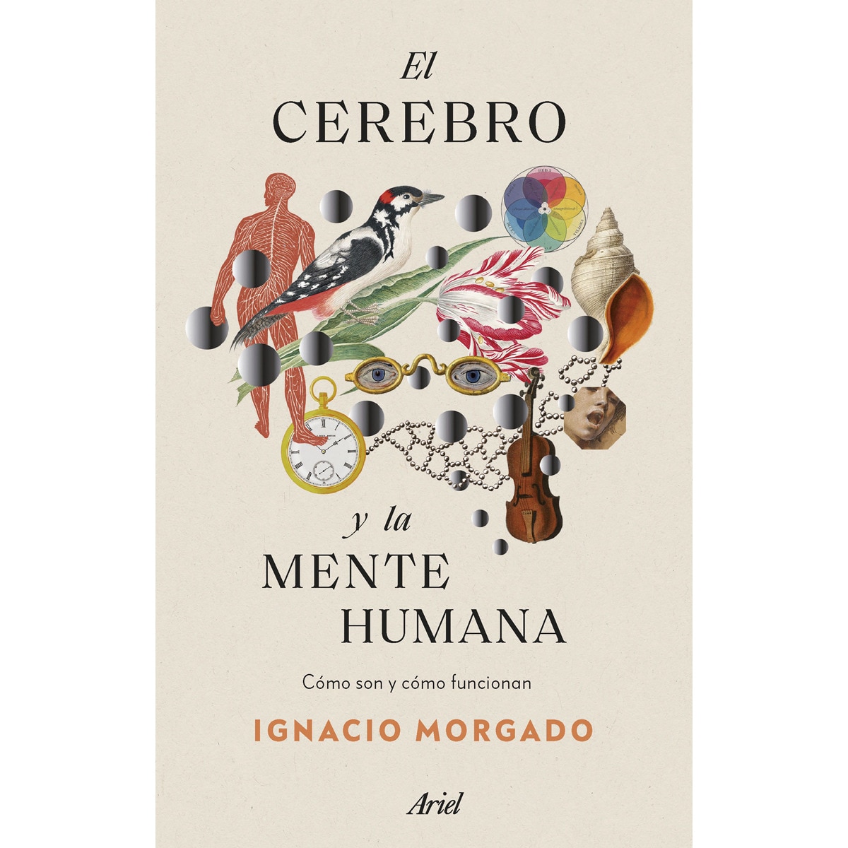 Imagem 0 de El Cerebro Y La Mente Humana