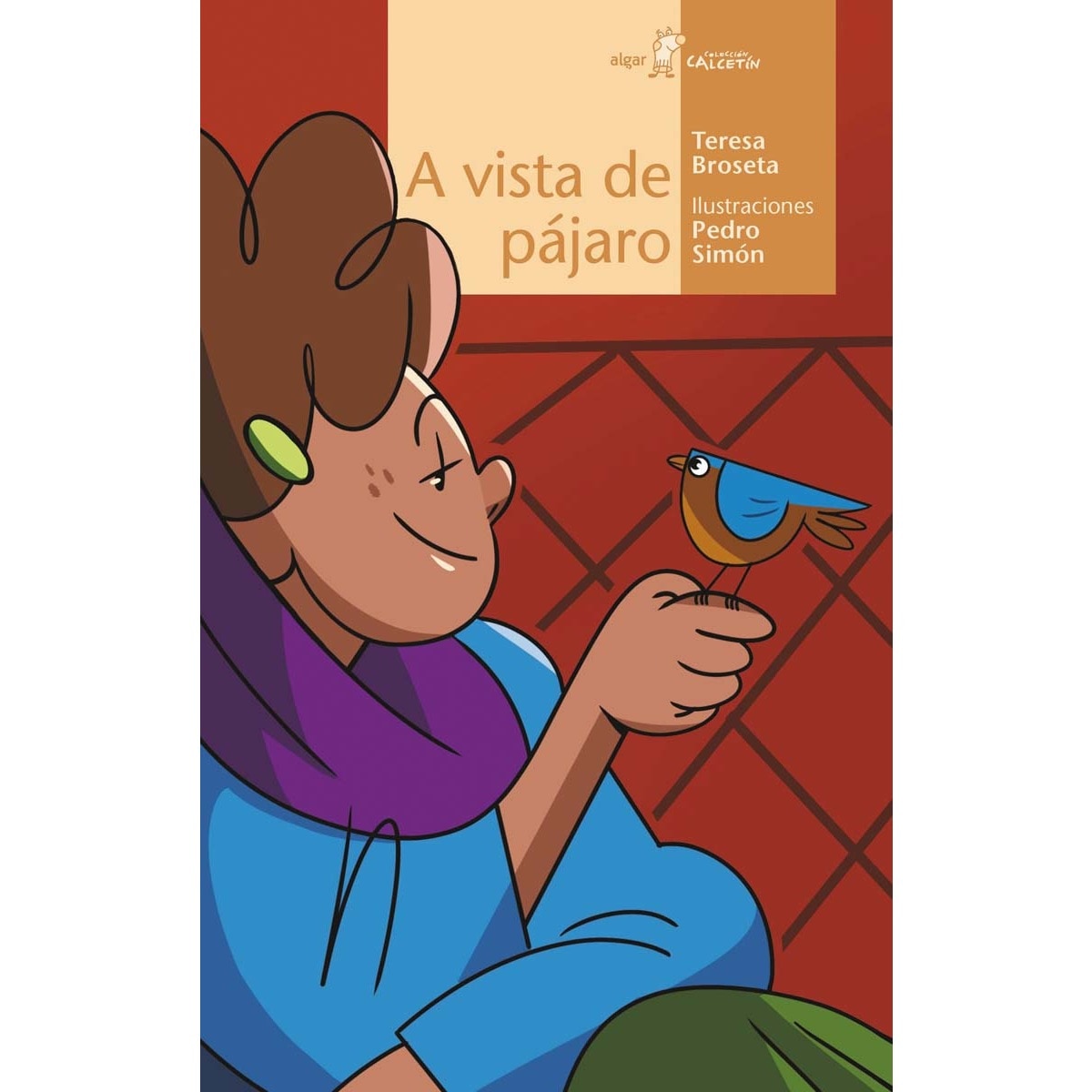 A vista de pájaro (Capa mole) 1