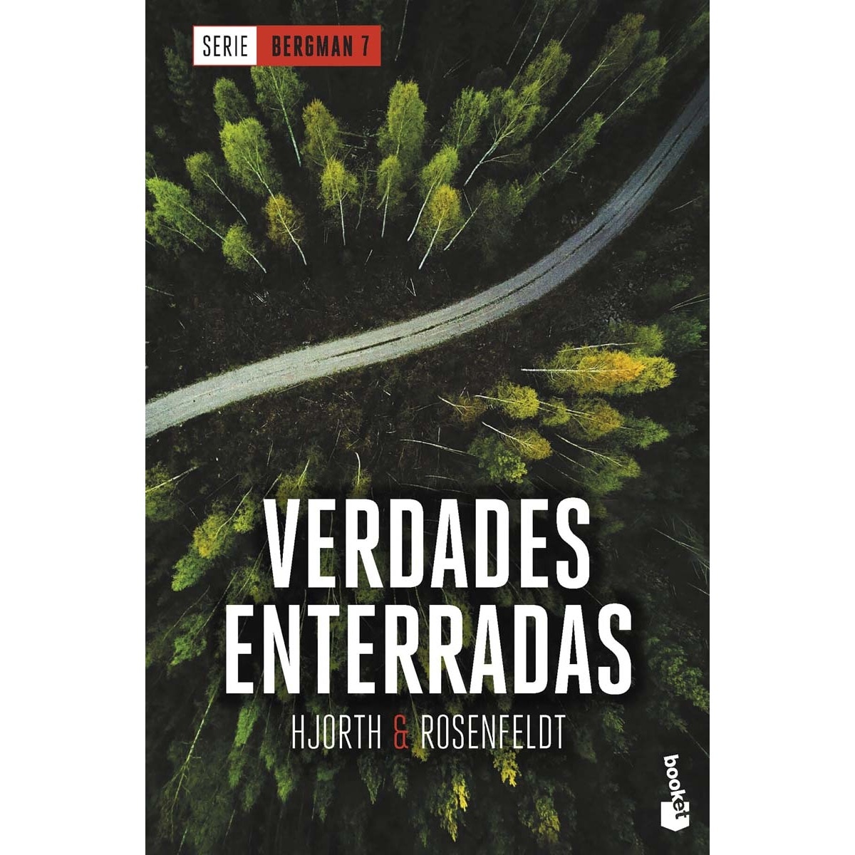 Imagem 0 de Verdades enterradas (Serie Bergman, 7): Serie Bergman, 7 (Bolso)