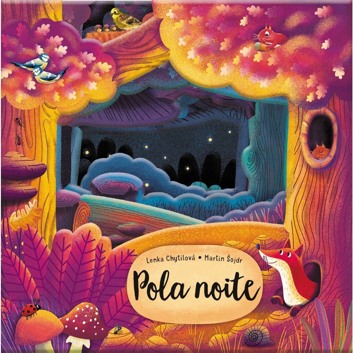 Pola noite 1