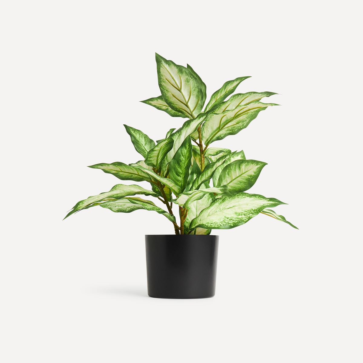 Plante artificielle Dieffenbachia