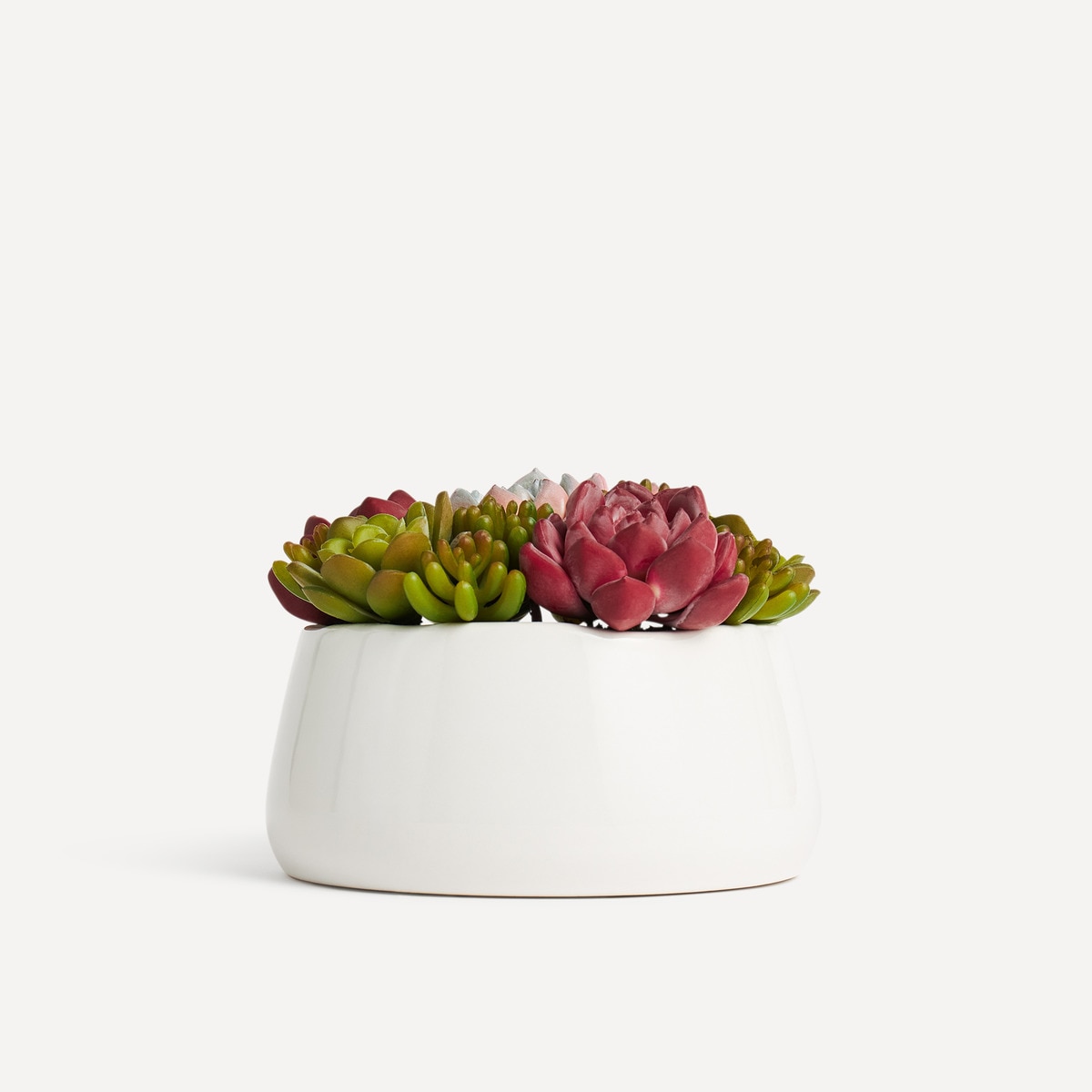 Plante Succulente artificielle avec pot en céramique