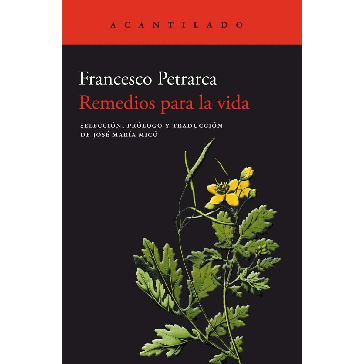 Imagen 0 de Remedios para la vida