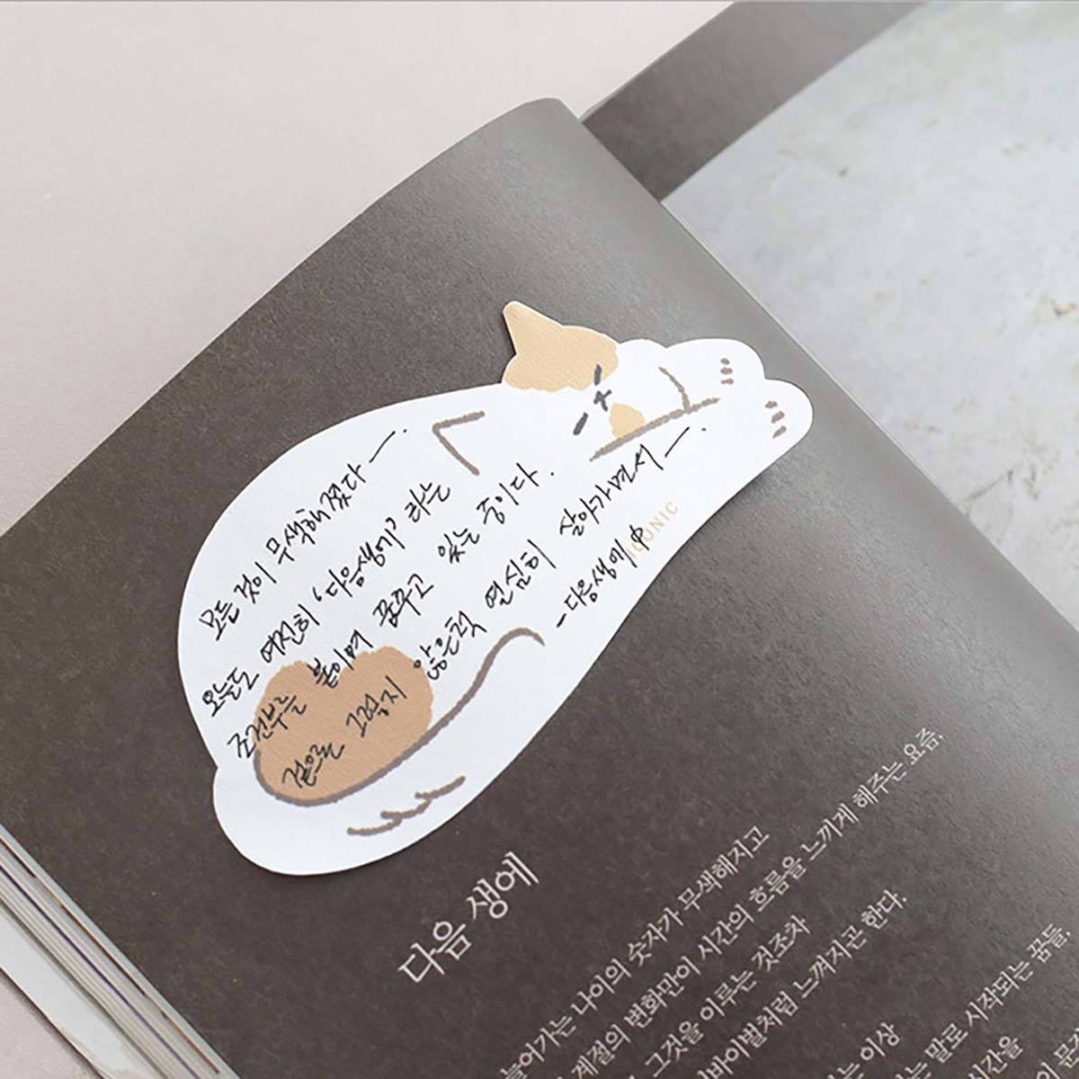 Notas Adesivas Gato 2