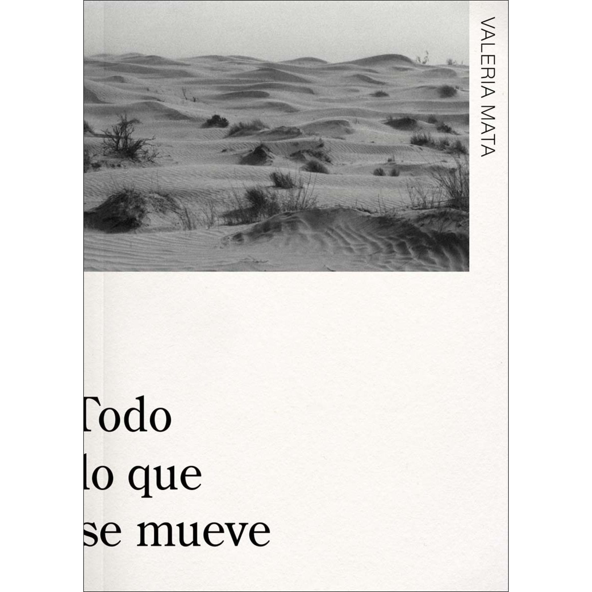 Imagem 0 de Todo lo que se mueve