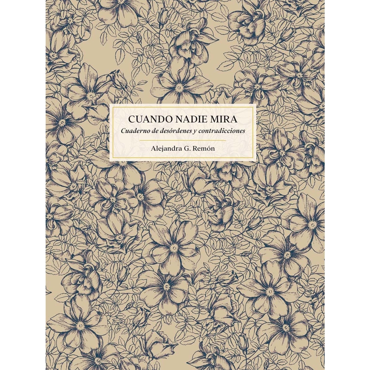 Imagem 0 de Cuando nadie mira: Cuaderno de desórdenes y contradicciones