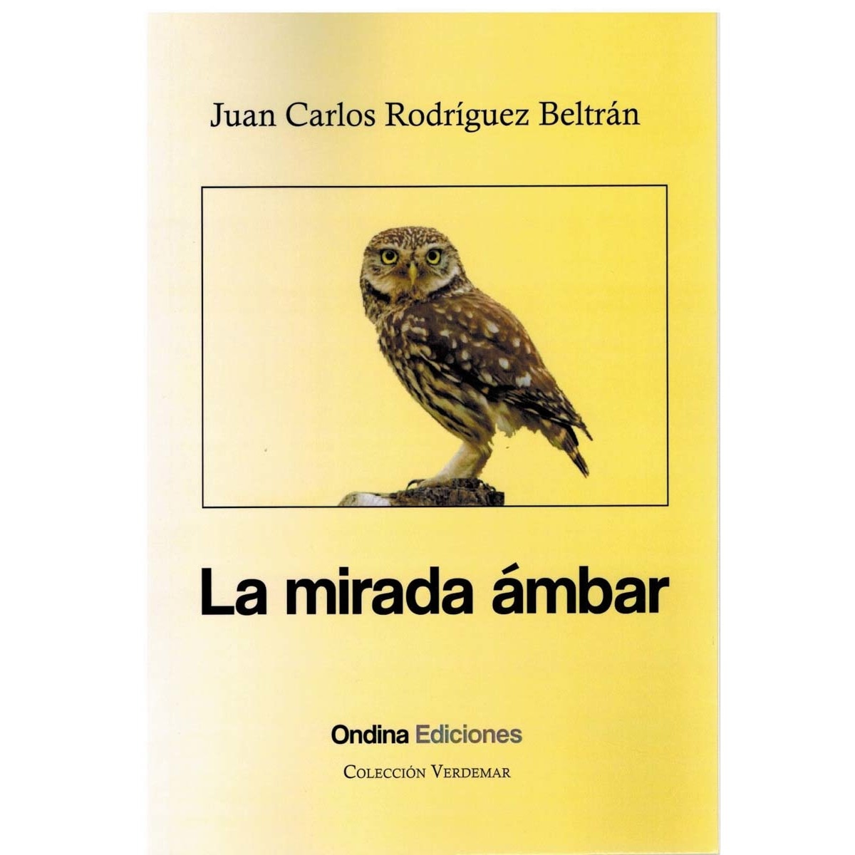 LA MIRADA ÁMBAR 1