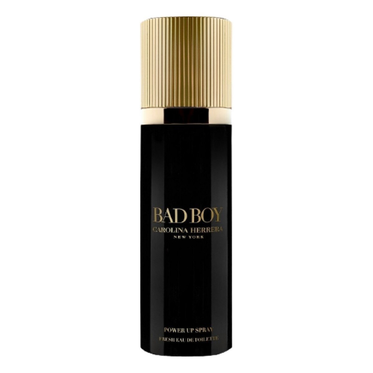 Bad Boy Power Eau de Toilette 100ml Carolina Herrera 1