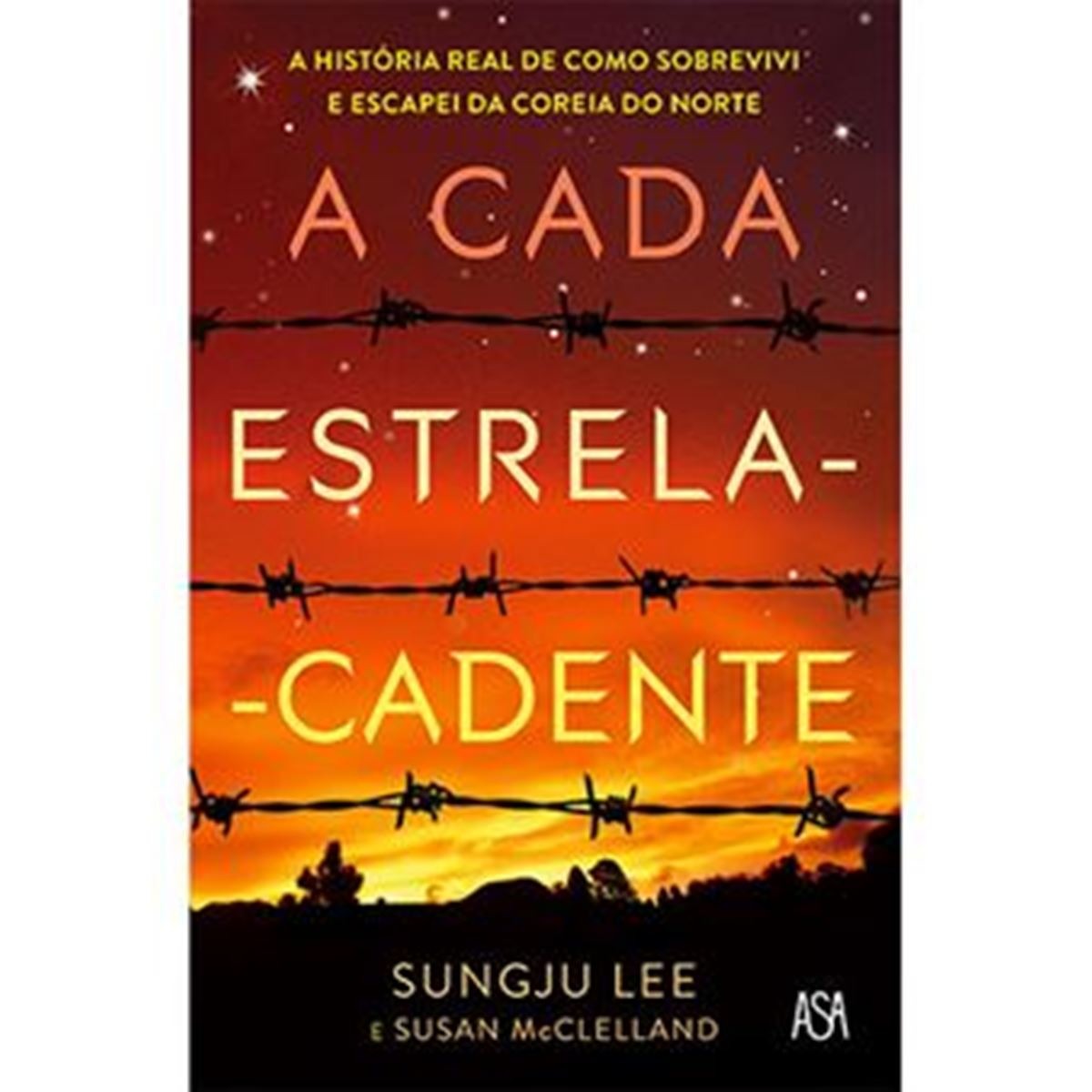 A Cada Estrela Cadente 1