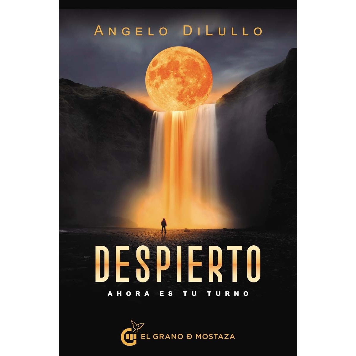 DESPIERTO: Ahora es tu turno 1