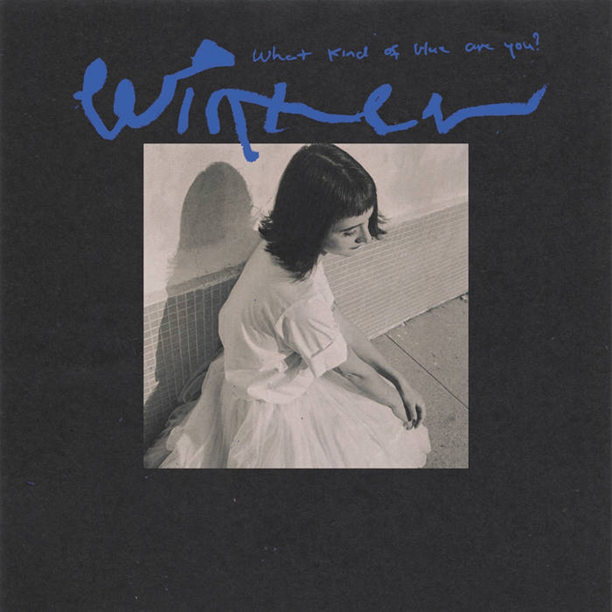Imagen 0 de What kind of blue are you? (LP-Vinilo)