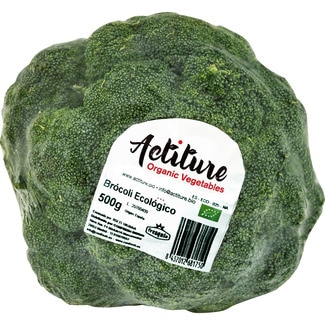 Brócoli ecológico pieza 500 g