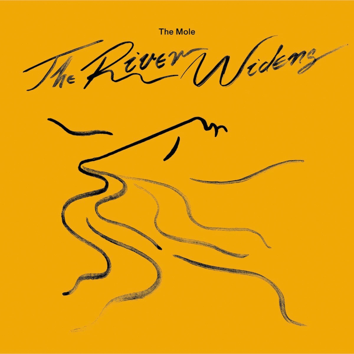Imagem 0 de The river widens (2 LP-Vinil)
