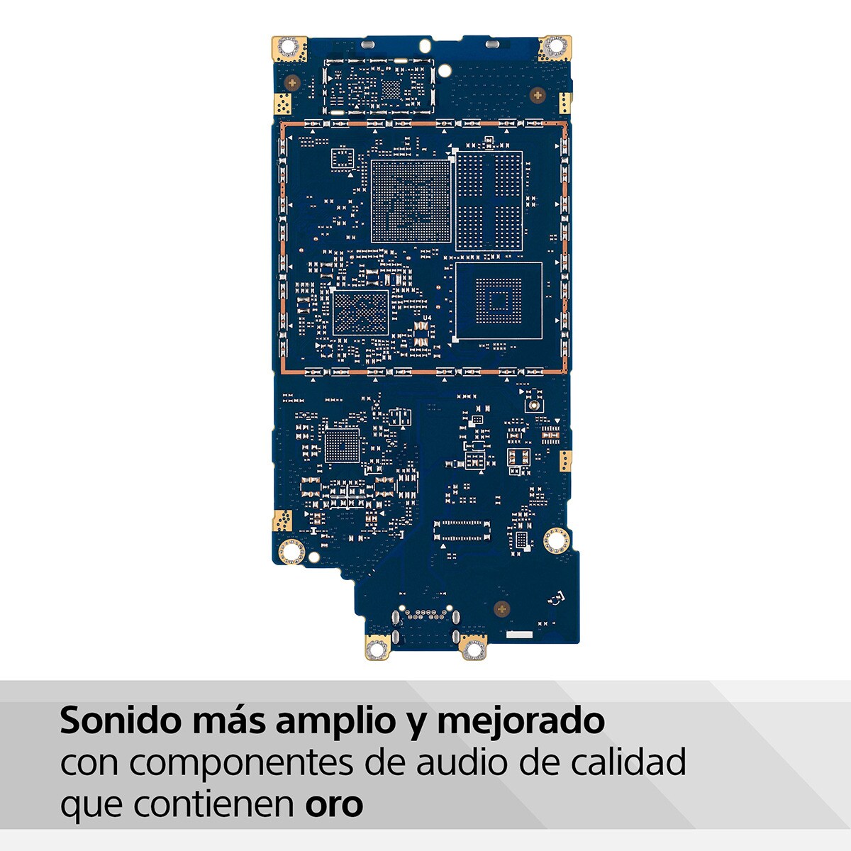 Reproductor MP3 Sony Walkman NW-A306 con pantalla táctil, 32 GB, negro Negro-7