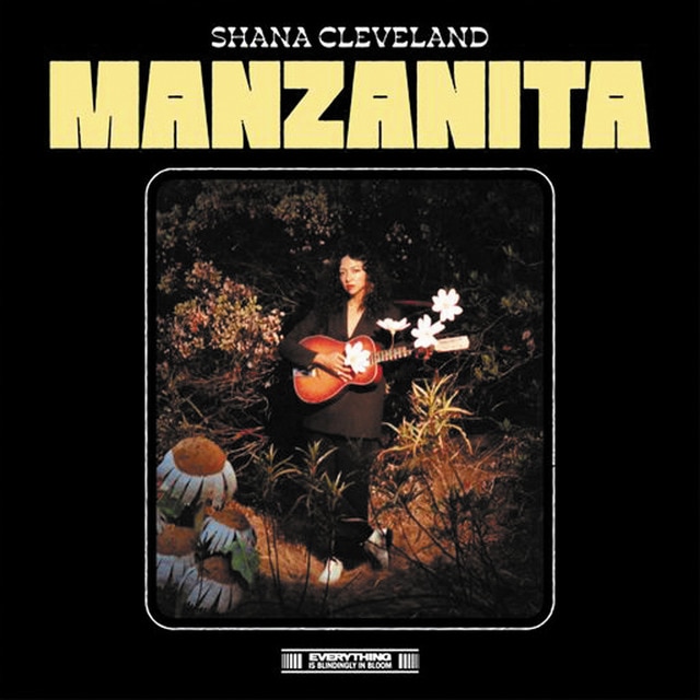 Imagen 0 de Manzanita (Edición Color) (LP-Vinilo)