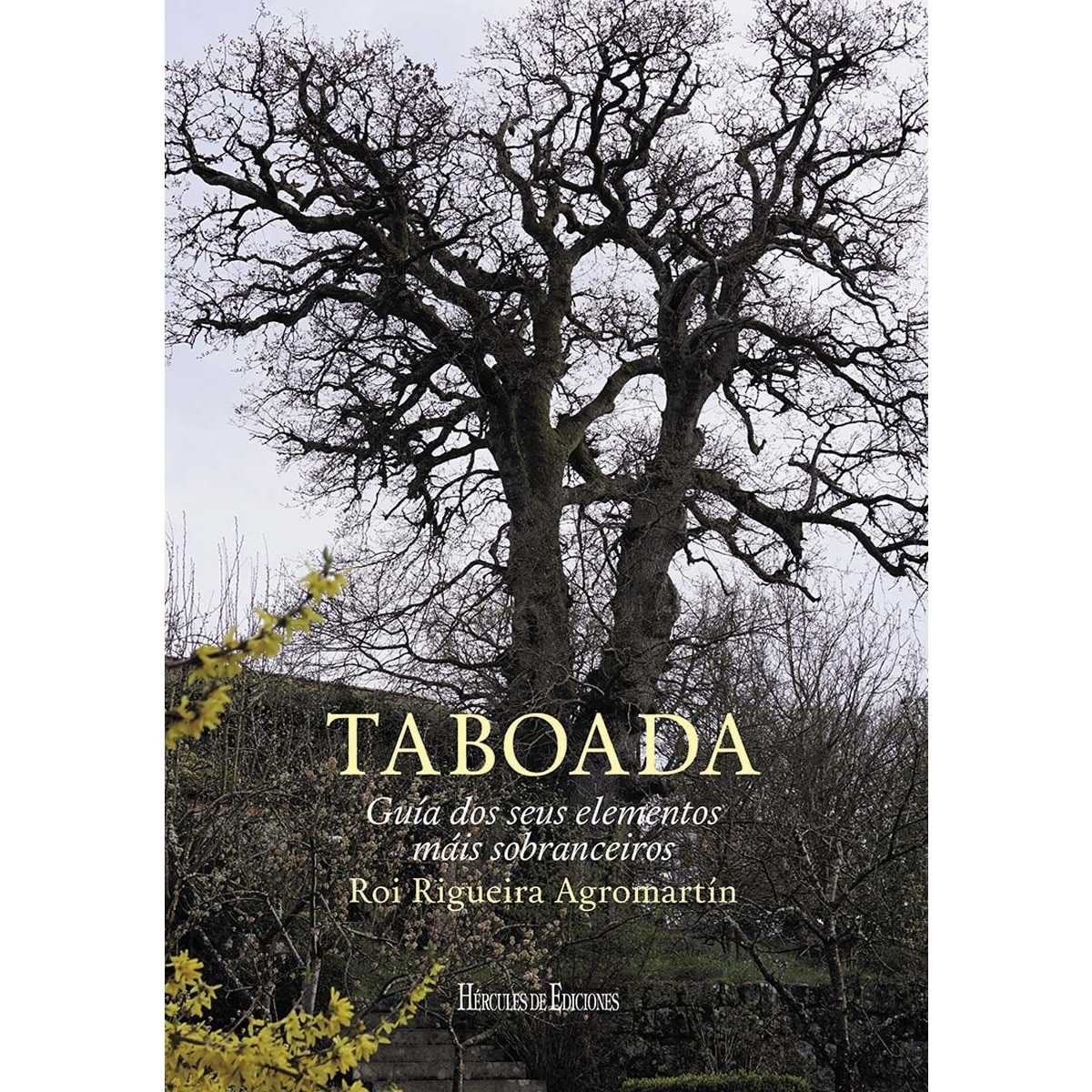 Taboada: Guía dos seus elementos máis sobranceiros 1