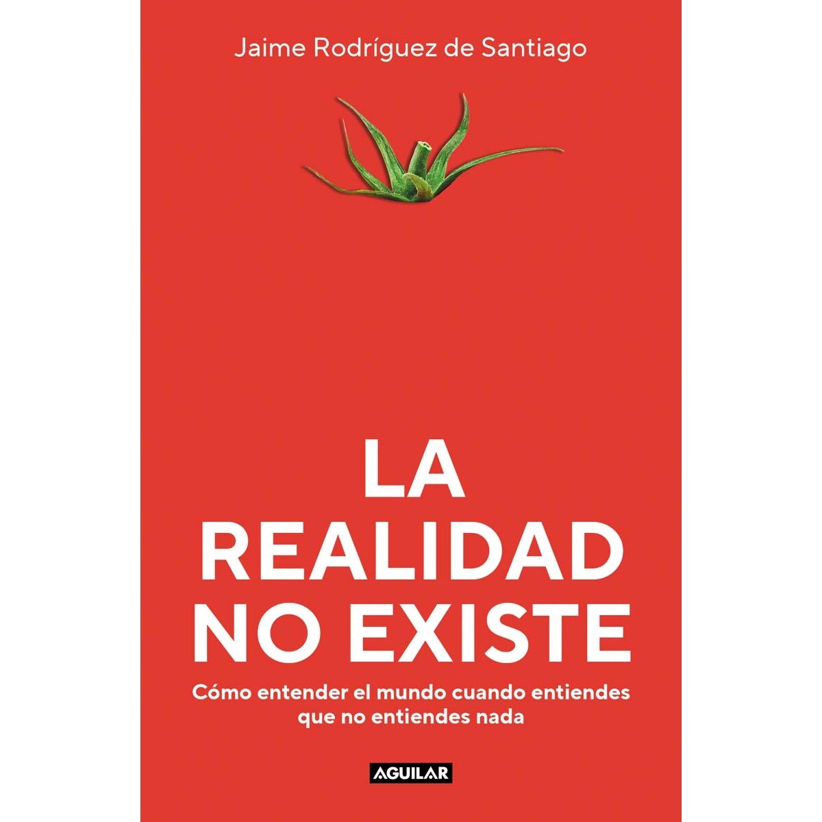 La realidad no existe: Cómo entender el mundo cuando entiendes que no entiendes nada (Capa mole) 1