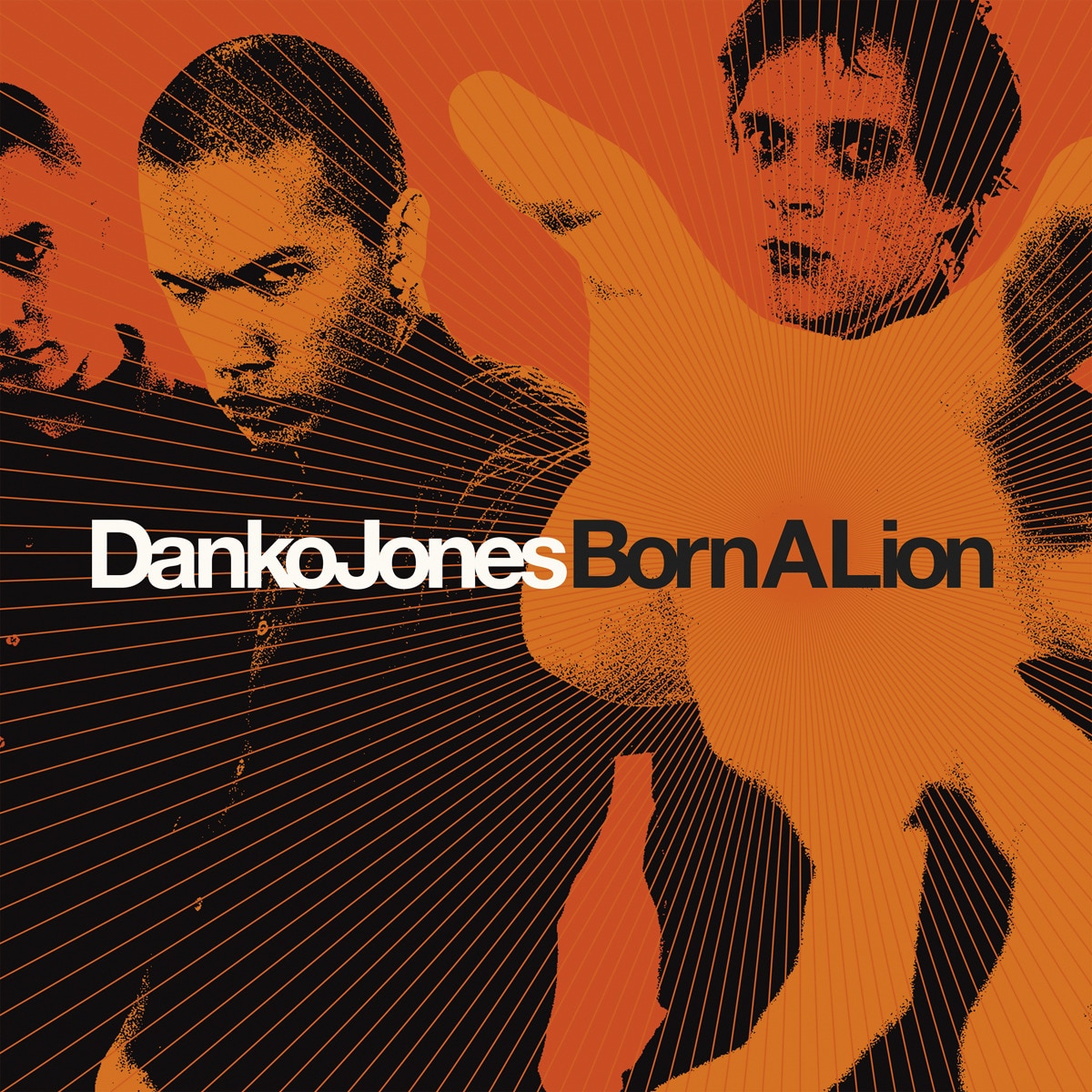Imagem 0 de Born a lion (LP-Vinil)