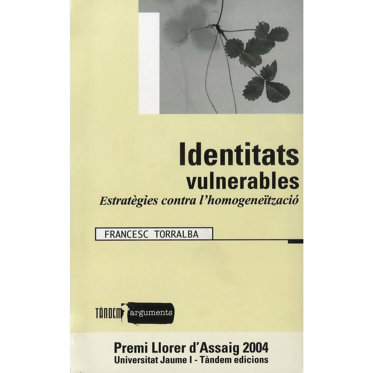 Identitats vulnerables (Capa mole) 1