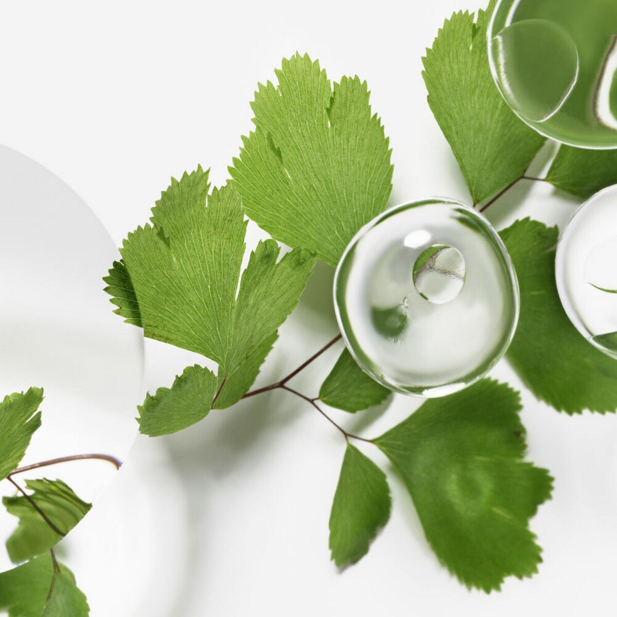 Emulsão Hidratante Émulsion Écologique Formule Avancée - 60 ml 5