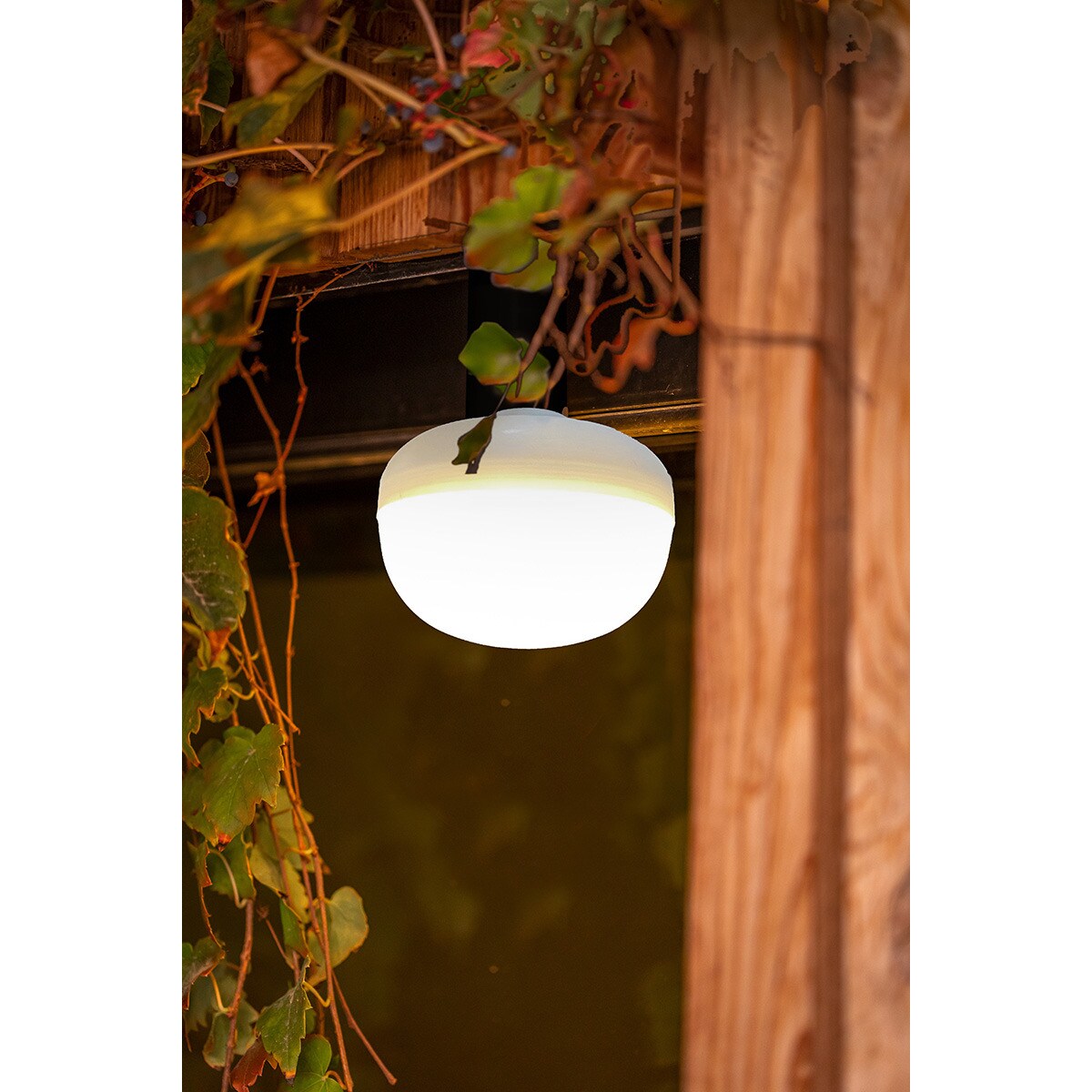 Bombilla Recargable Cherry 9W Blanco-3