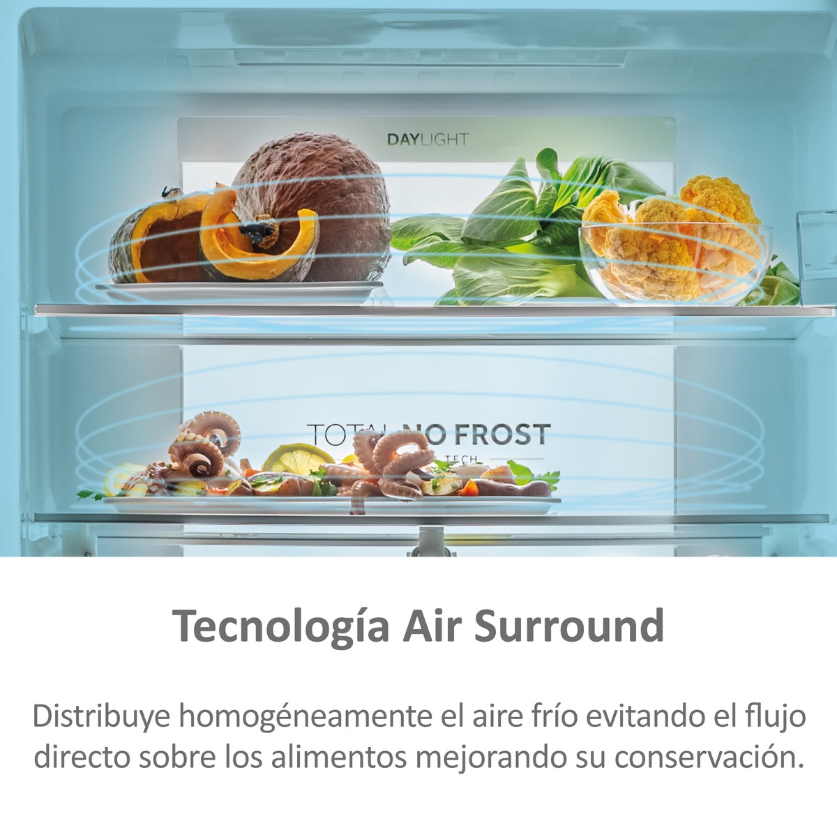 Frigorífico combi Haier, Total No Frost, 70 cm de ancho 3D 70 Series 7 - HTR7720DNMP Inox-9