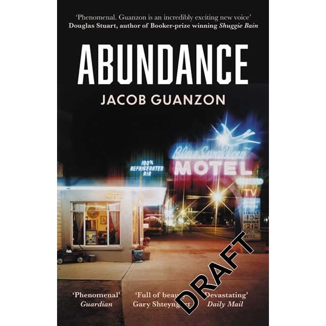 Abundance 1