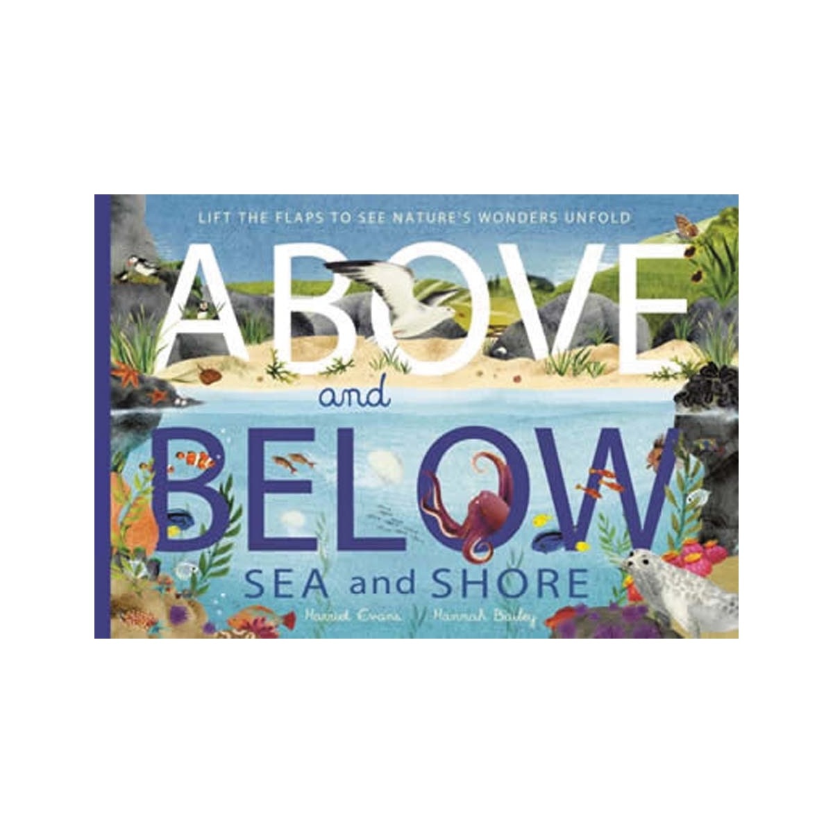 Imagem 0 de Above and below: sea and shore