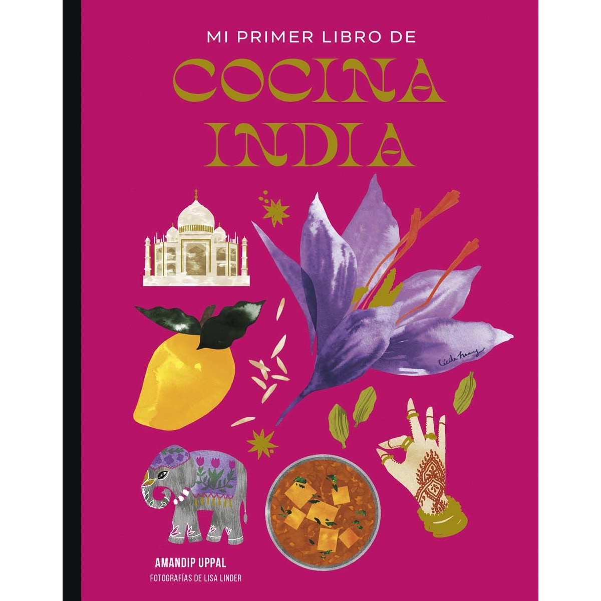 Imagem 0 de Mi primer libro de cocina india