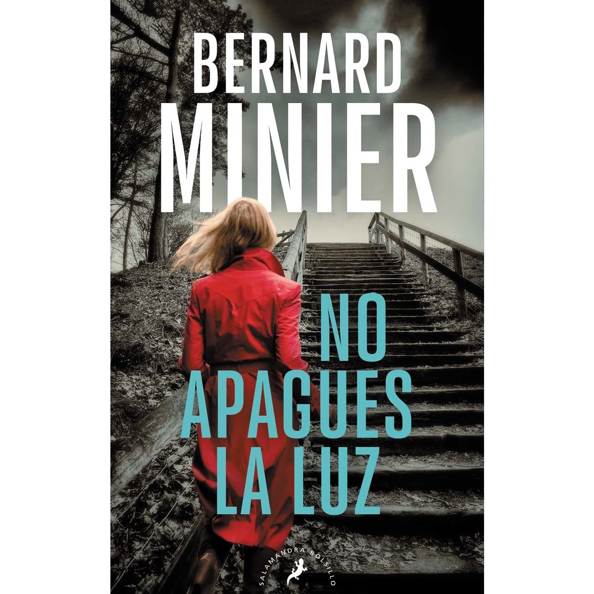 Imagem 0 de No apagues la luz (Comandante Servaz 3)