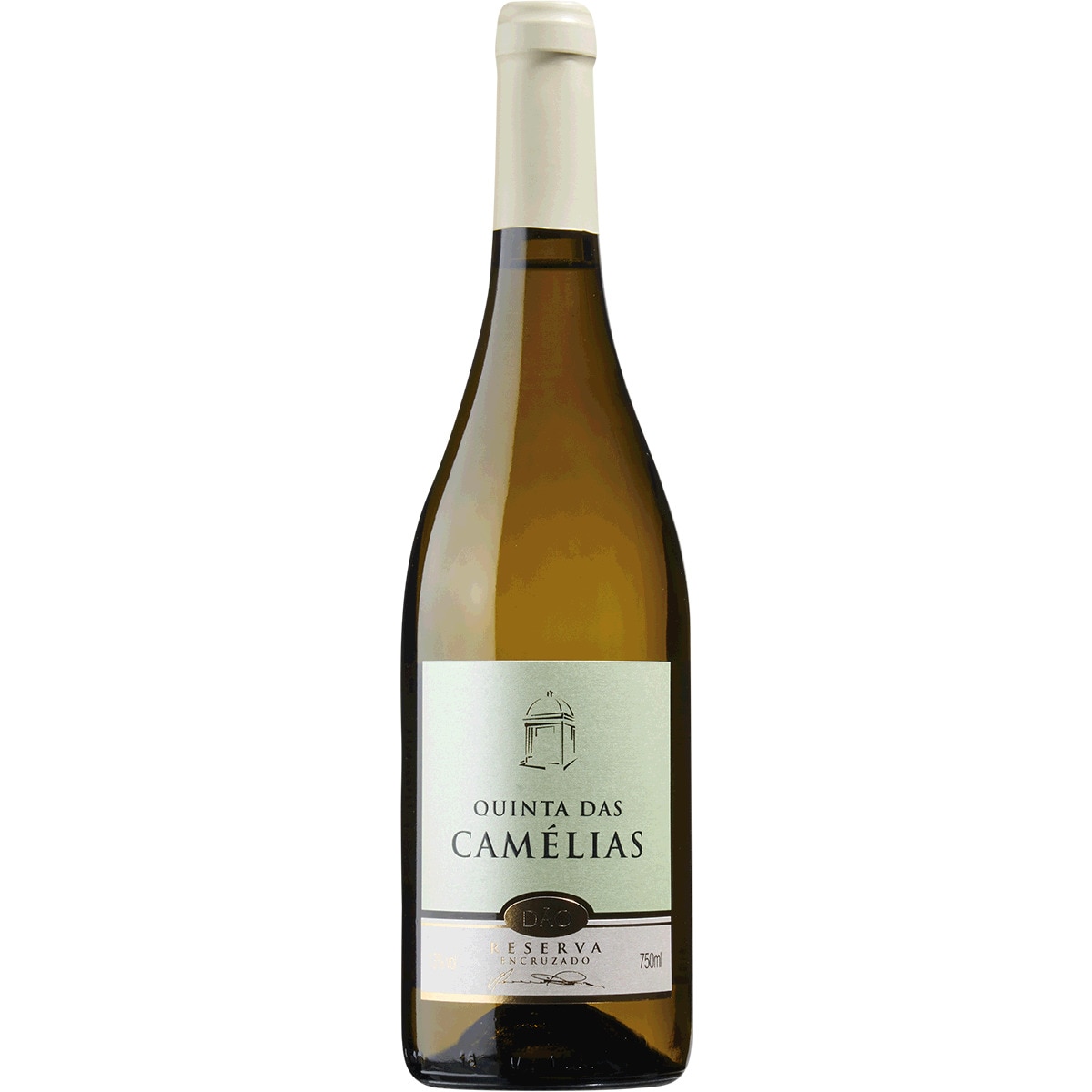 Vinho Branco do Dão Reserva Encruzado garrafa 75 cl