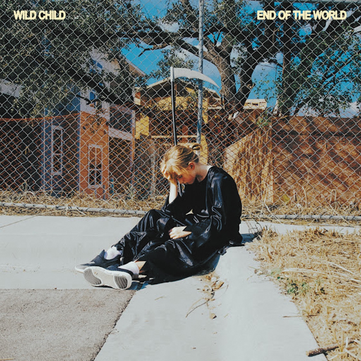 Imagem 0 de End of the world  (Edição Color) (LP-Vinil)