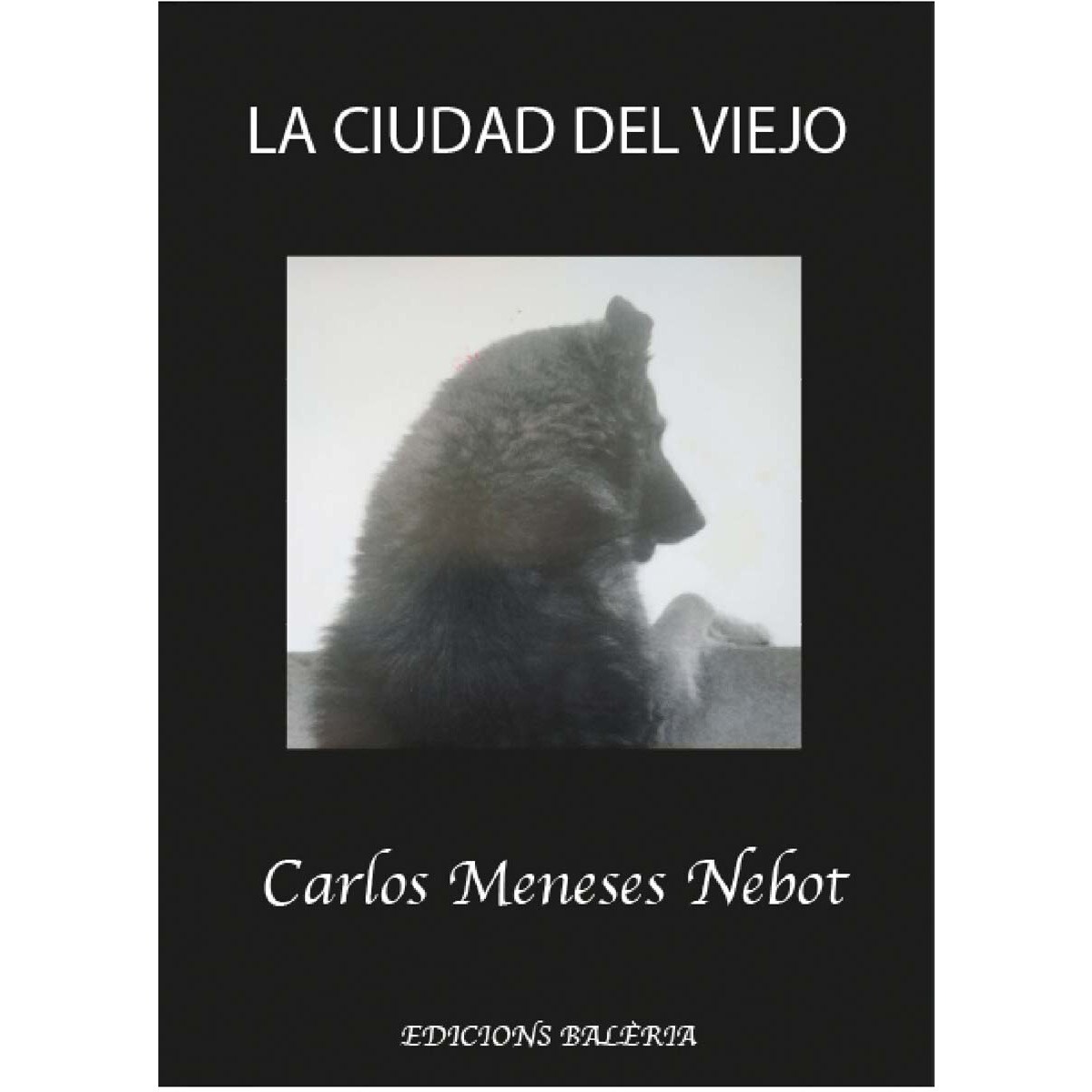 Imagem 0 de LA CIUDAD DEL VIEJO
