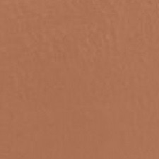 403 - Augmented Nude