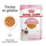 Kitten Feuchtfutter für Katzenbabys in Gelatine Tütchen 85 g