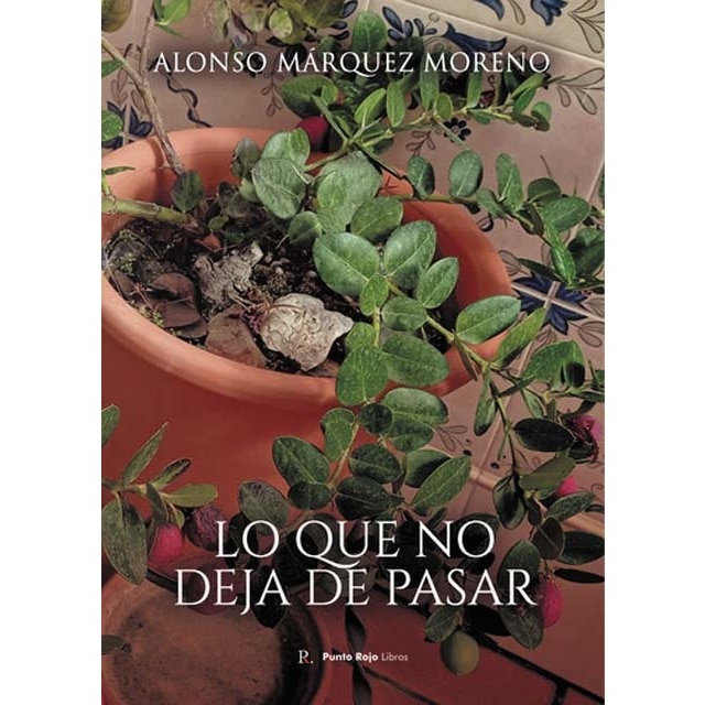 Imagem 0 de Lo que no deja de pasar