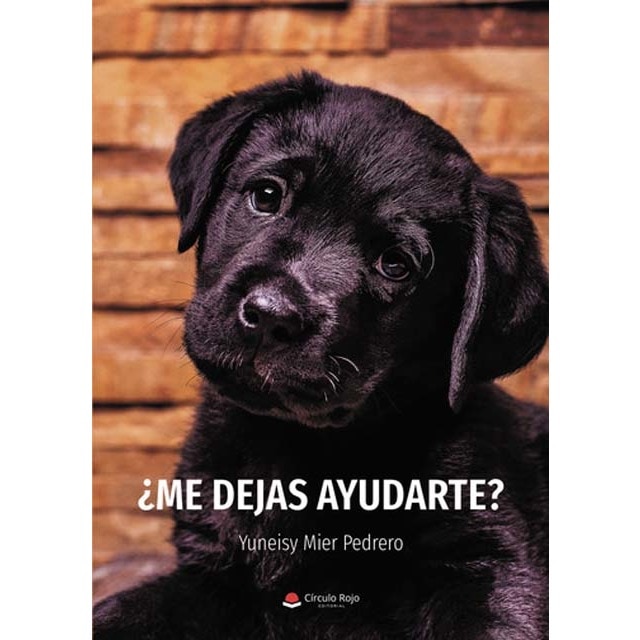 ¿Me dejas ayudarte? 1