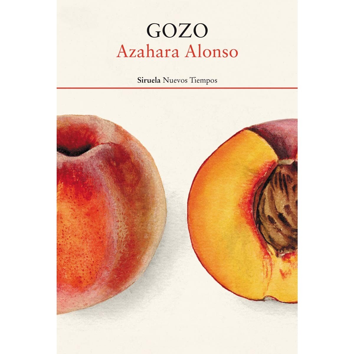 Gozo (Capa mole com abas) 1