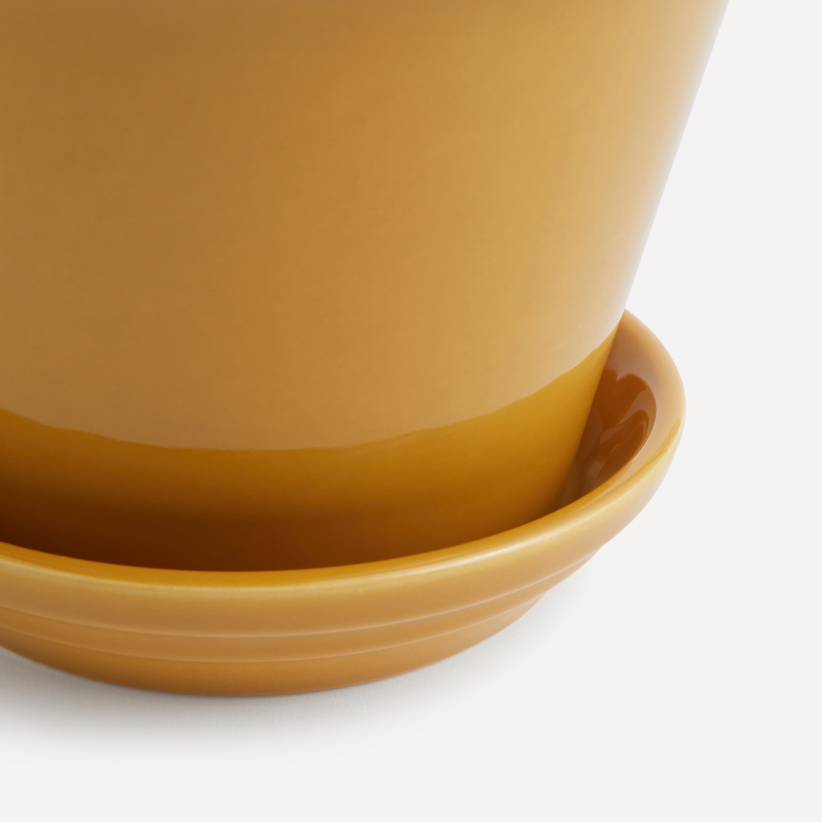 Vaso com Prato Jelo Mostarda-3