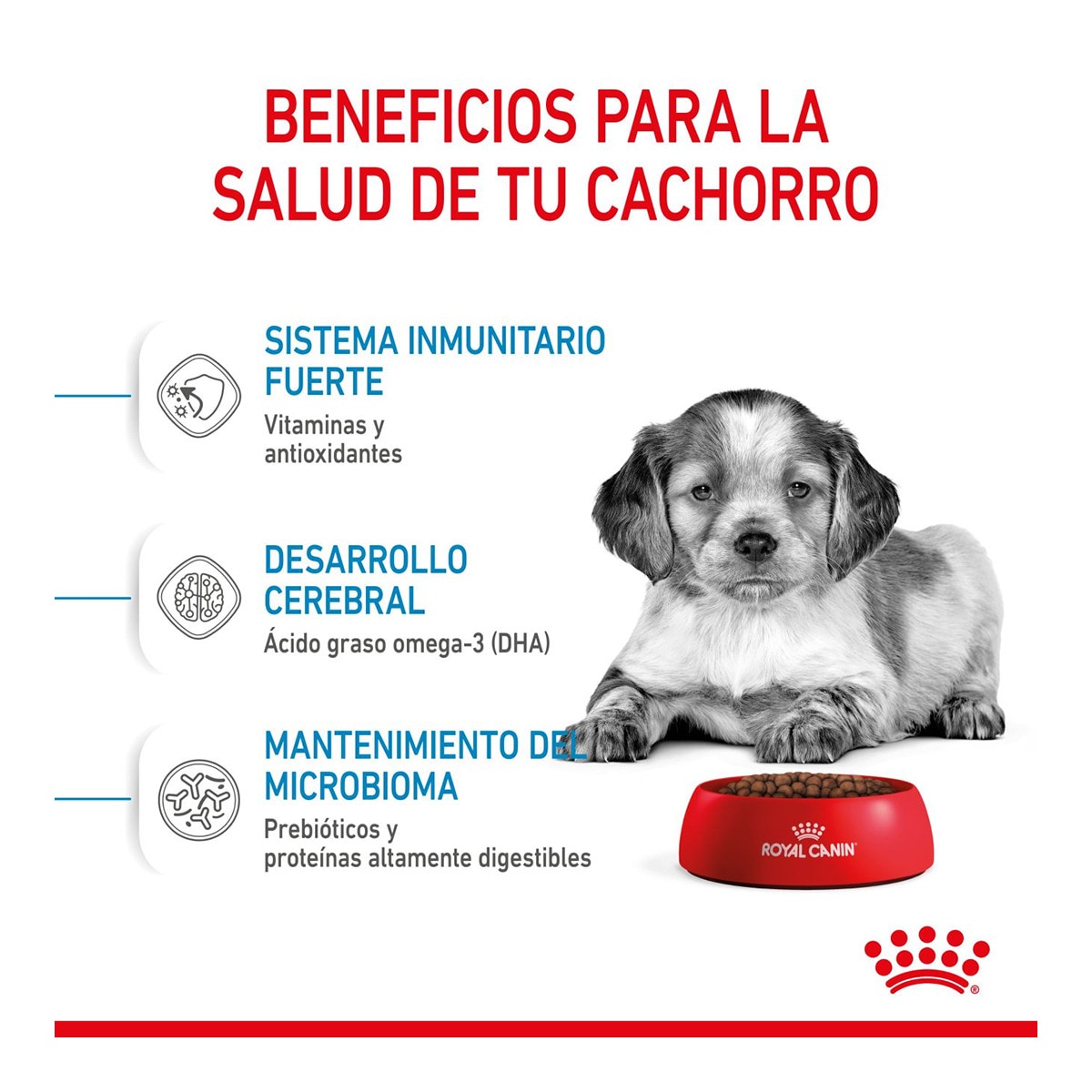 Pienso para perros cachorros raza mediana Royal Canin 4