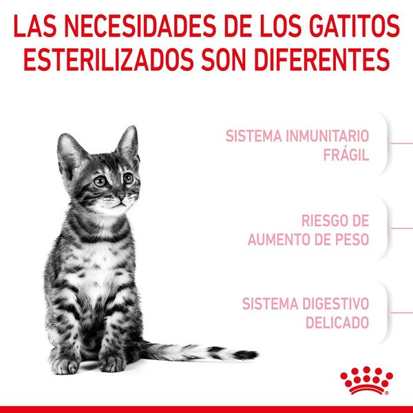 Kitten cat food for sterilised kittens bag 2 kg